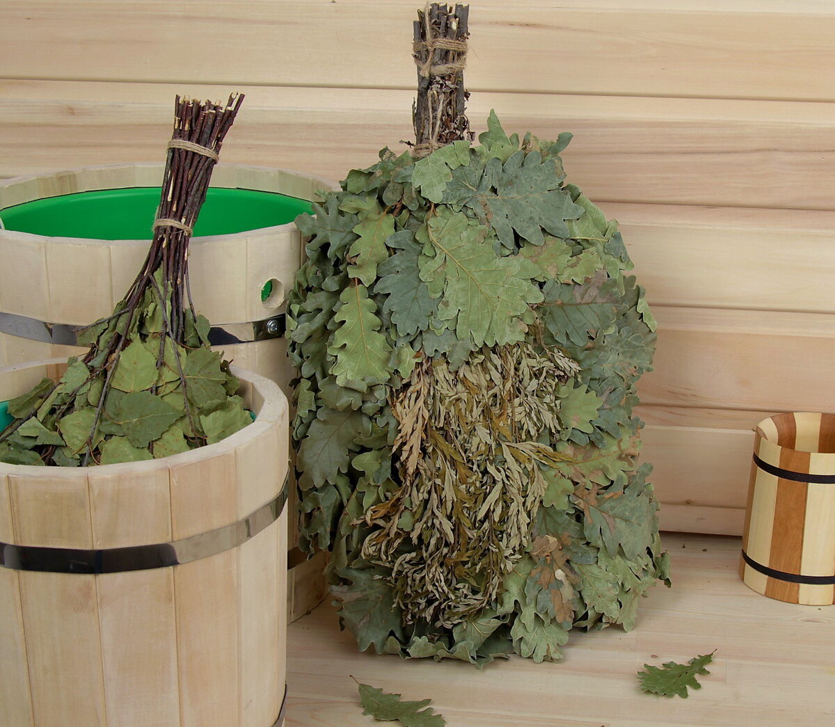 дуб и полынь.