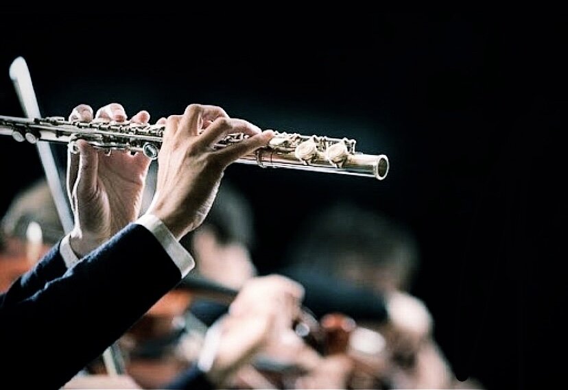 Концерт классической музыки 