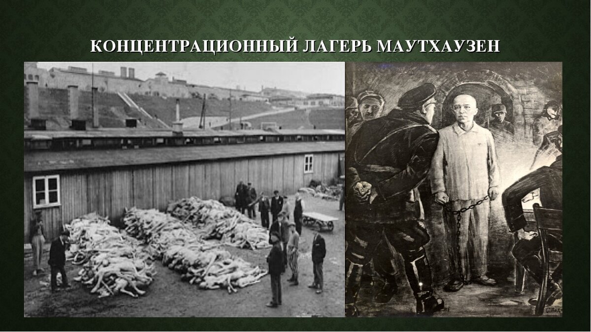 Фото из свободных источников