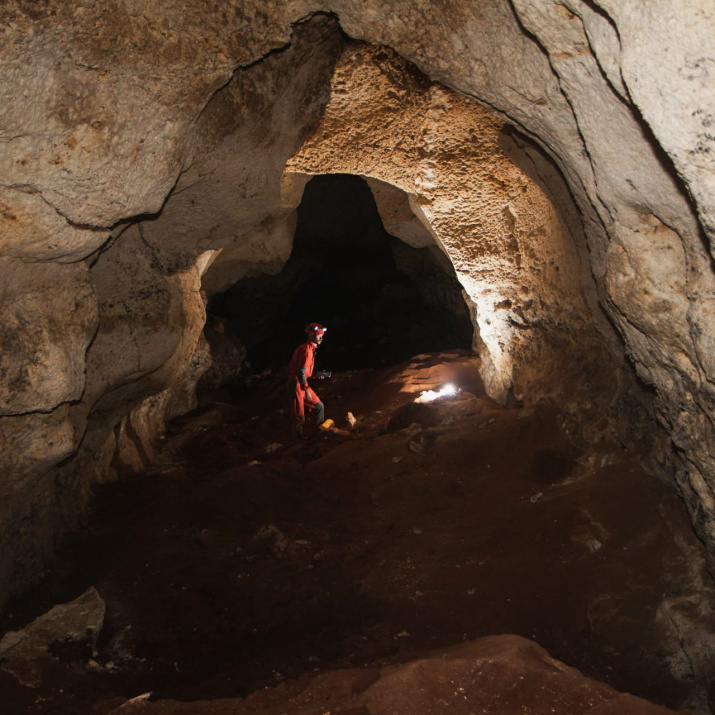 Фото: https://www.rgo.ru/