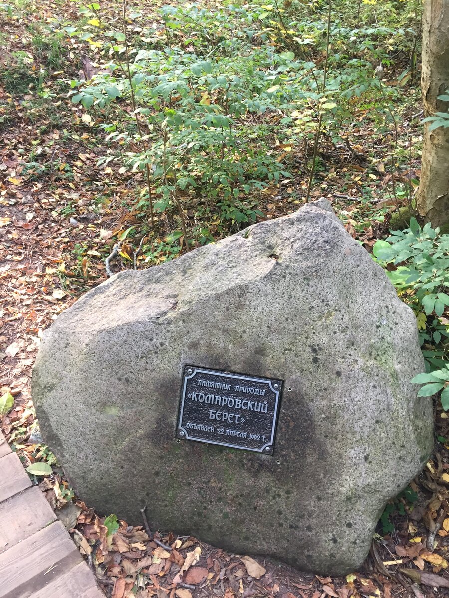 Эко-тропа в Комарово, все фото в статье авторские
