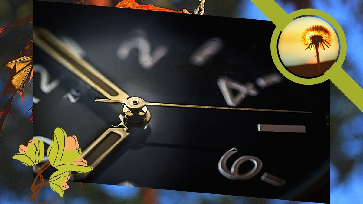 картинка из свободного источника