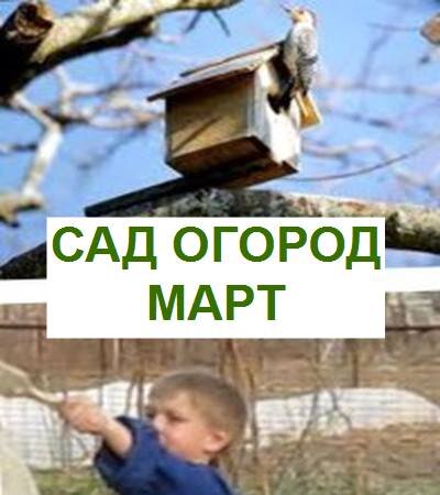  работы в саду ранней весной