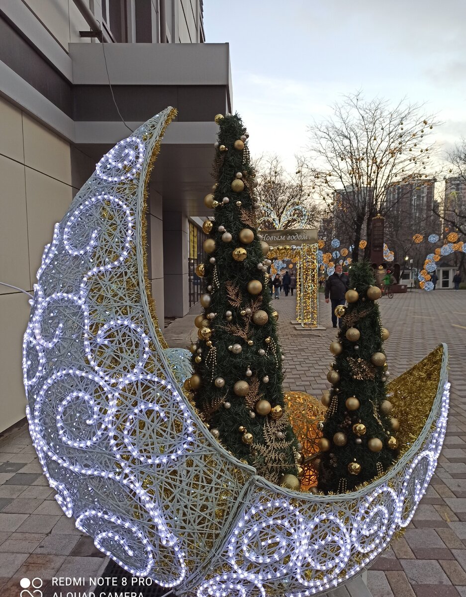 В первые дни 2021 года снега не было