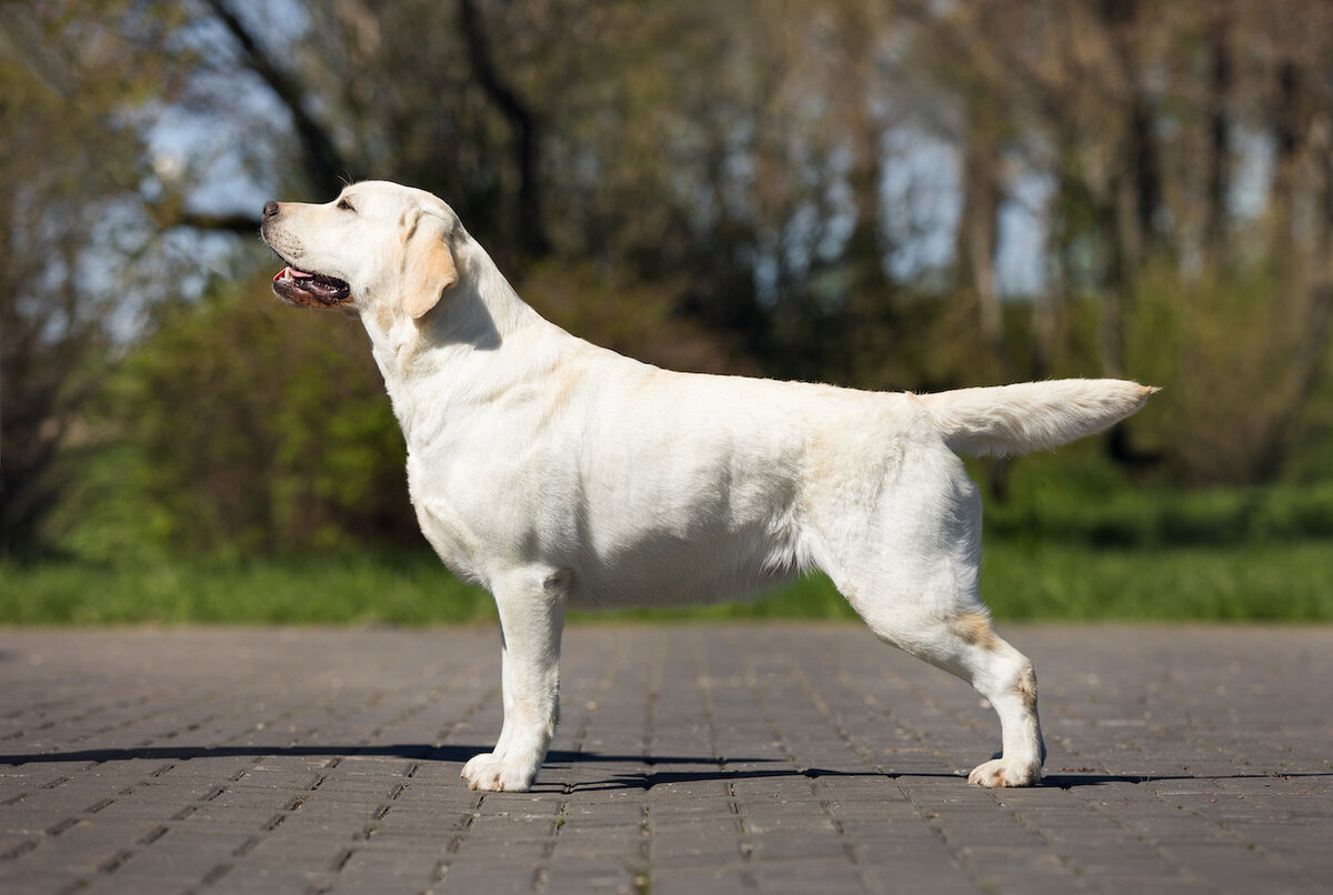 Наша Есения