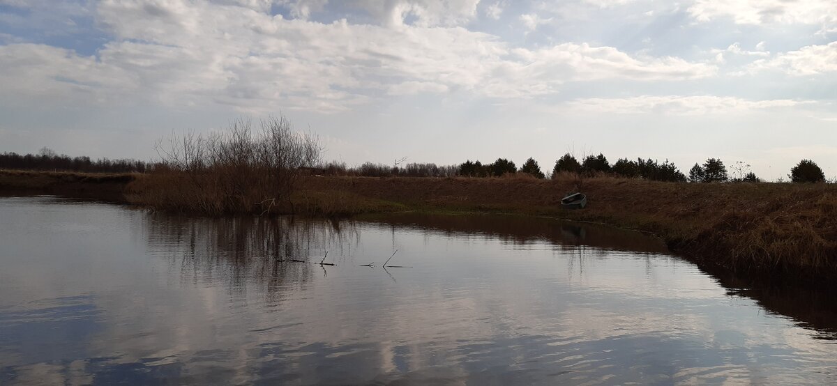 Река Пижма в районе д. Большой Лом