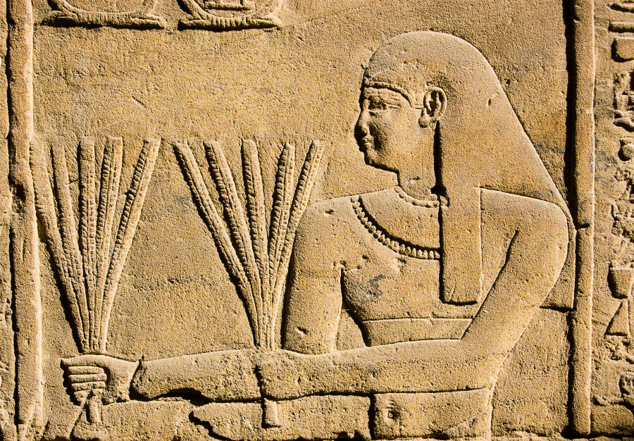 Египтянин с колосьями пшеницы