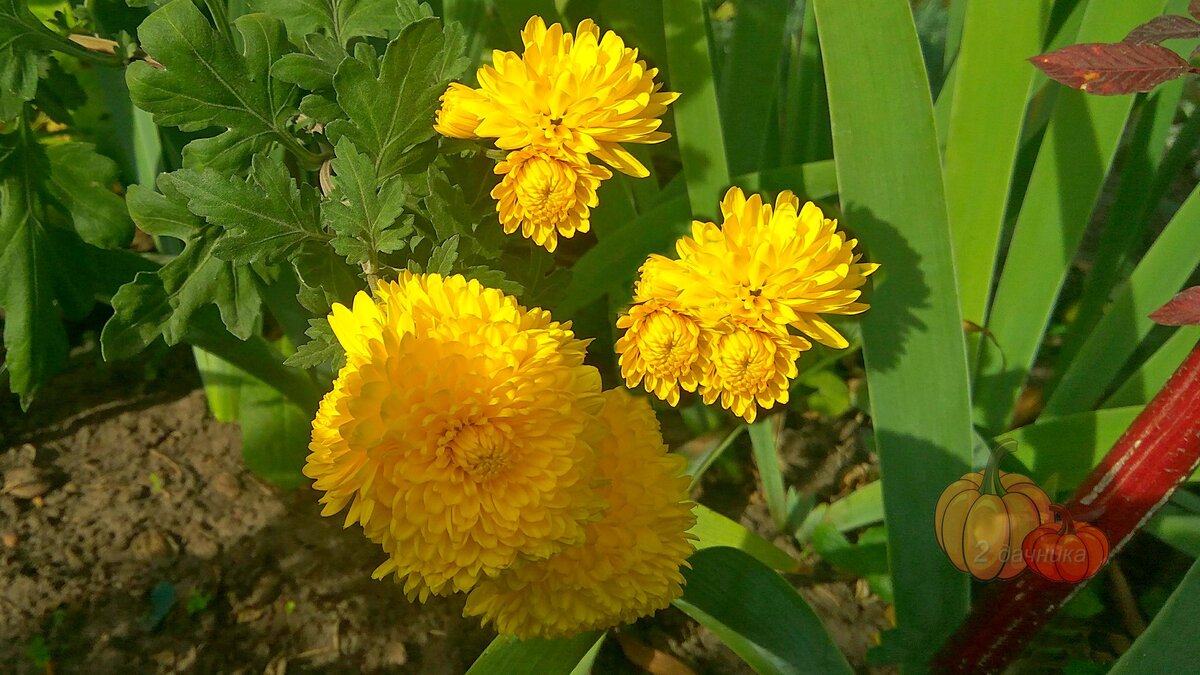 (Листайте➡)