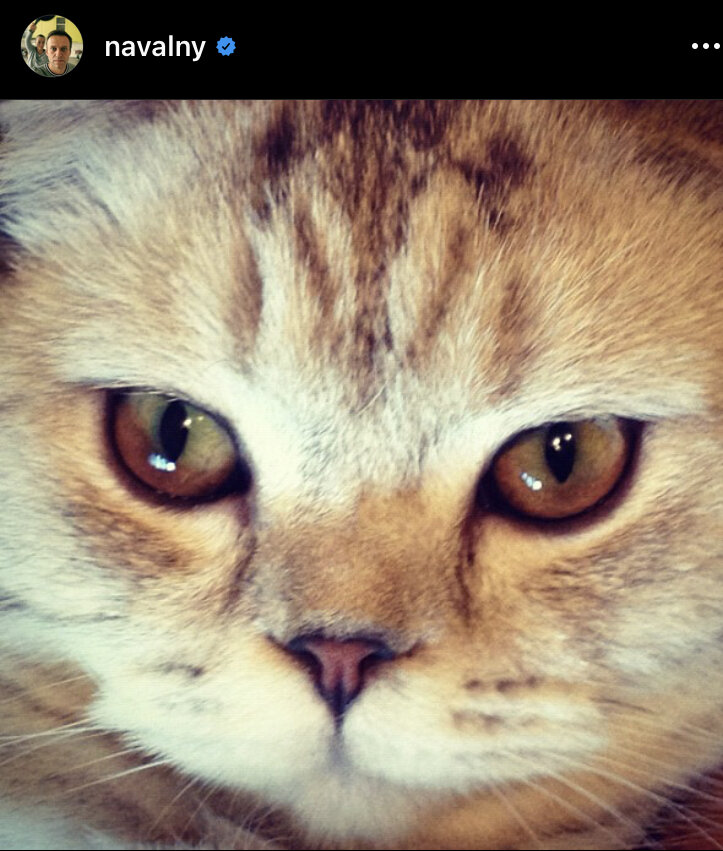 Он должен быть лидером ответственной оппозиции