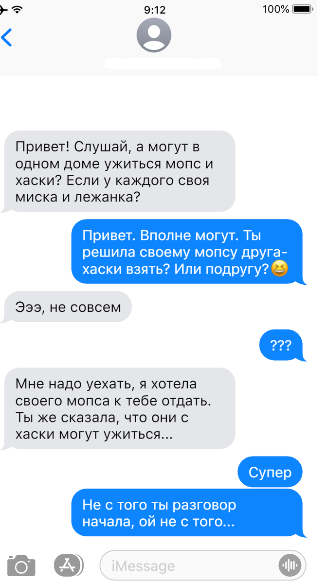 Записки ветеринара. Смешные переписки о питомцах с неожиданной развязкой. |  СобачьЯ жизнь | Дзен