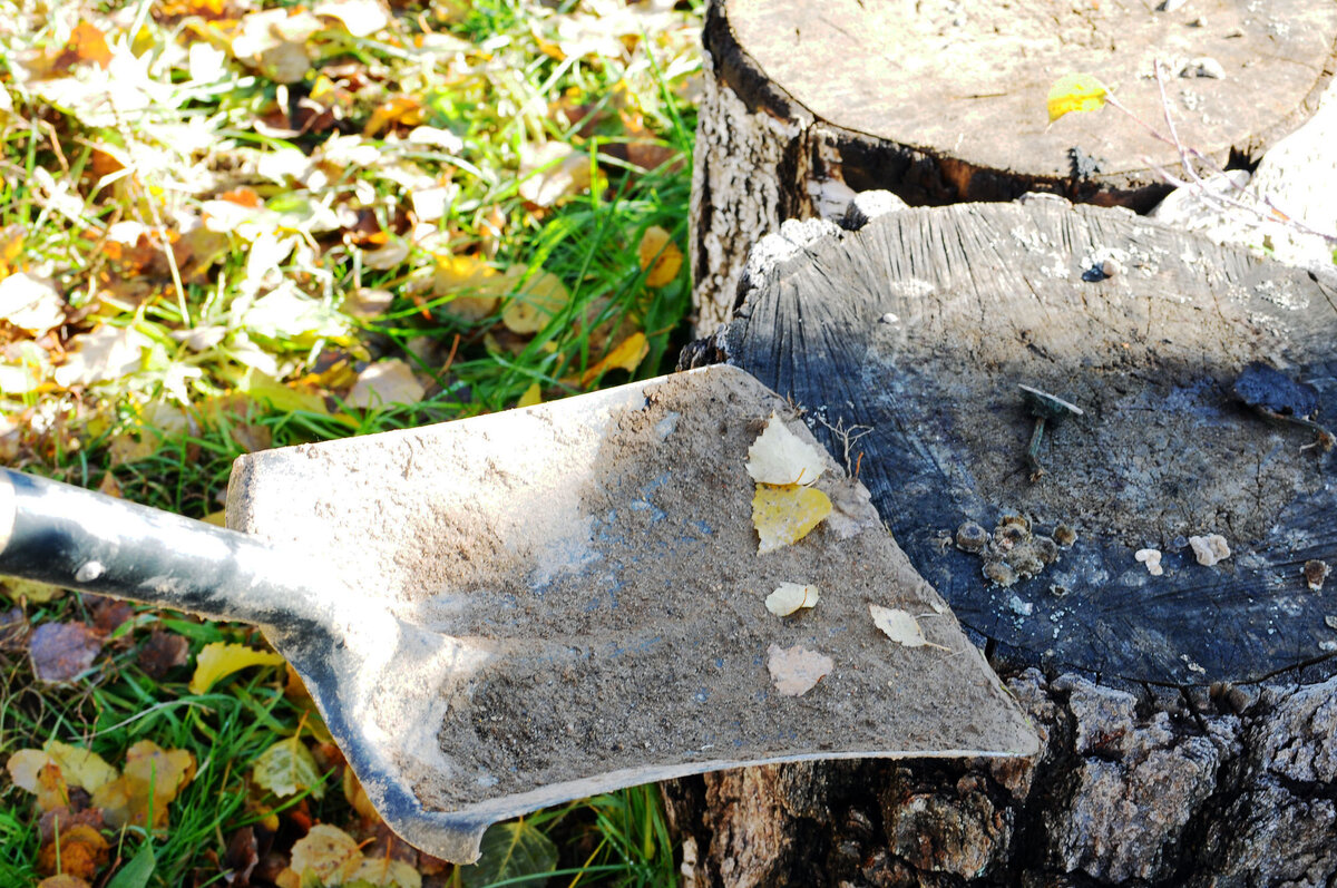 Фото: авторское