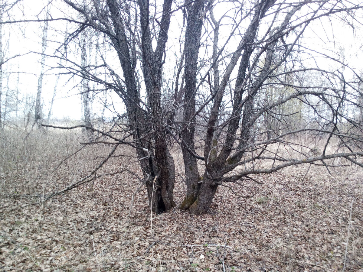 Фото из личного архива