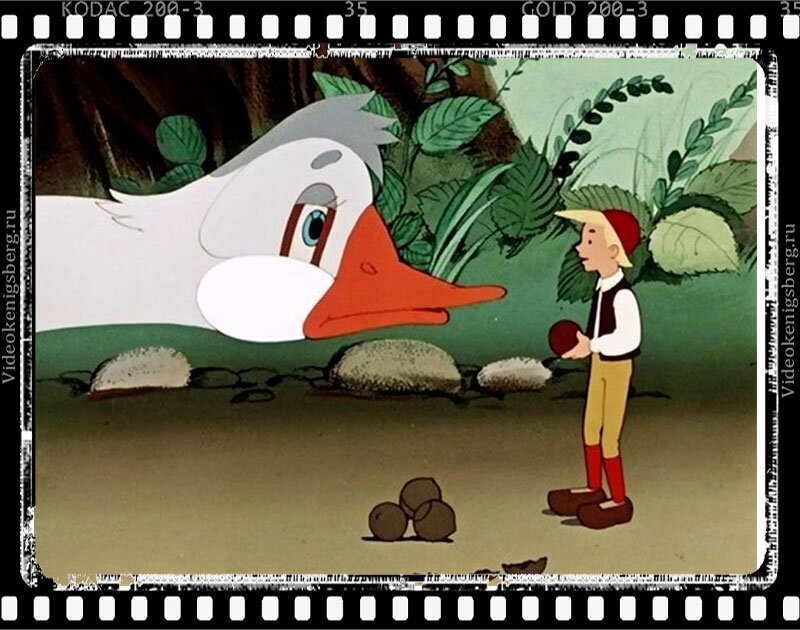 Нильс и Мартин