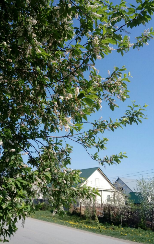 Фото автора.