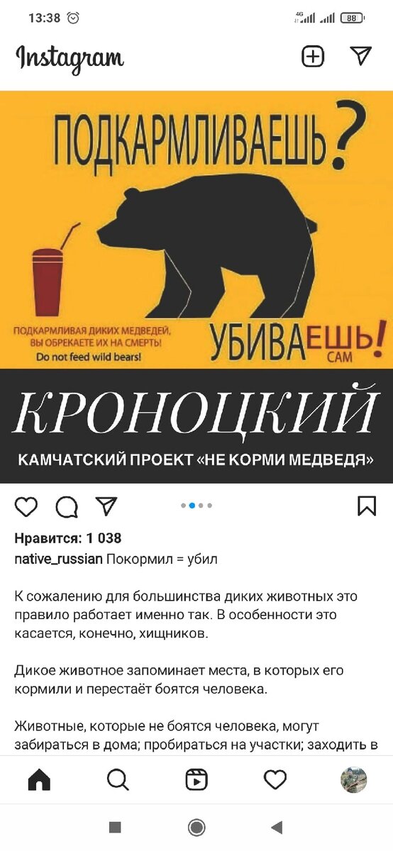 В России символ страны – медведь. Но, многие медведи содержаться в неволе в частных руках, в ужасающих условиях.