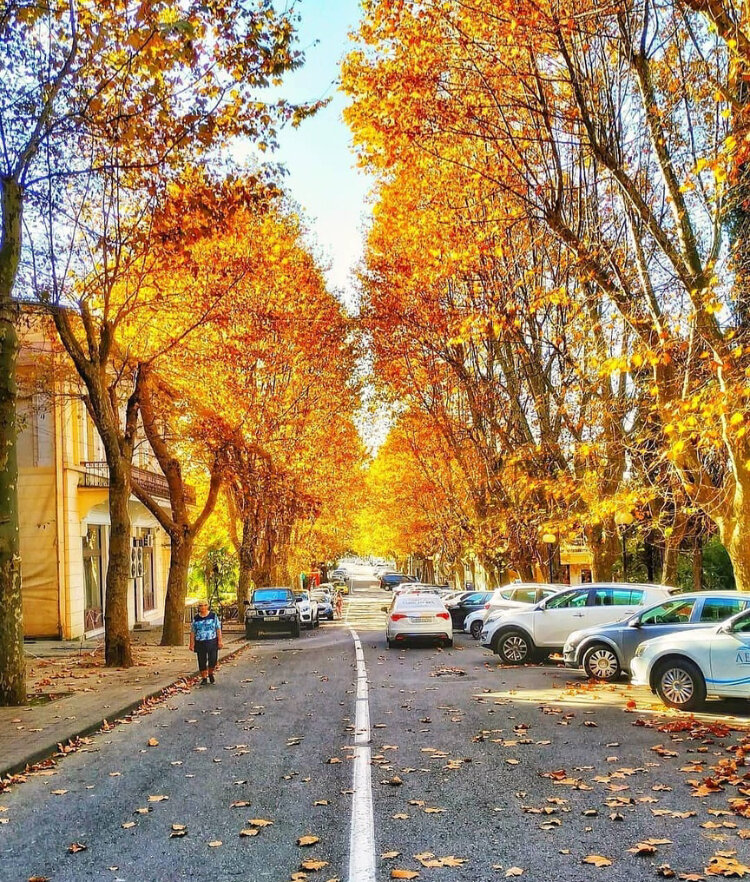 Фото: интернет осень в Сочи