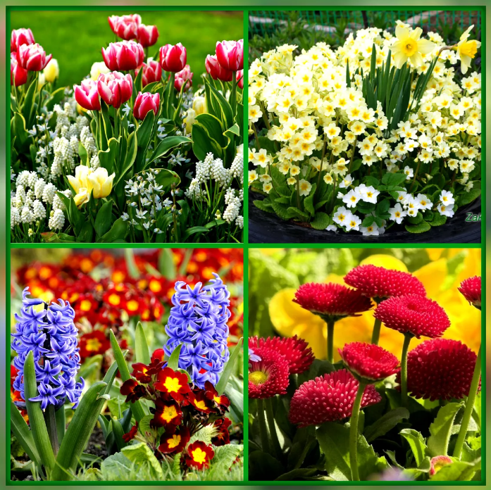 Добавьте описание