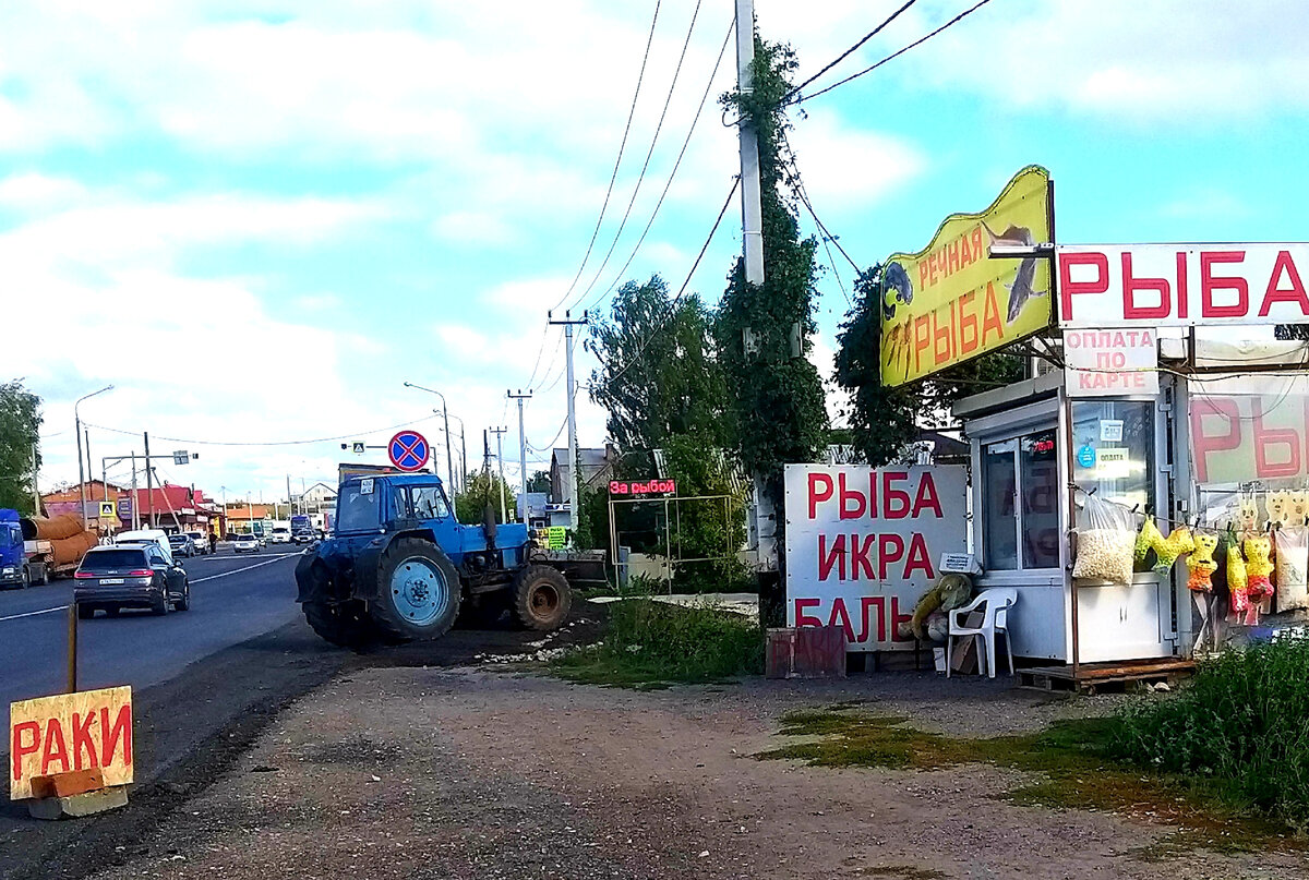 Дорога с юга до Новосибирска- 4100 км на авто | Южный номер | Дзен