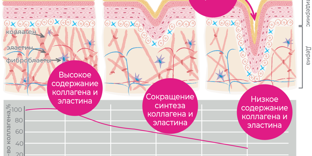Что такое гиалуроновая кислота и откуда она берется