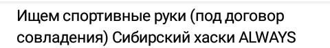 Фото из интернета