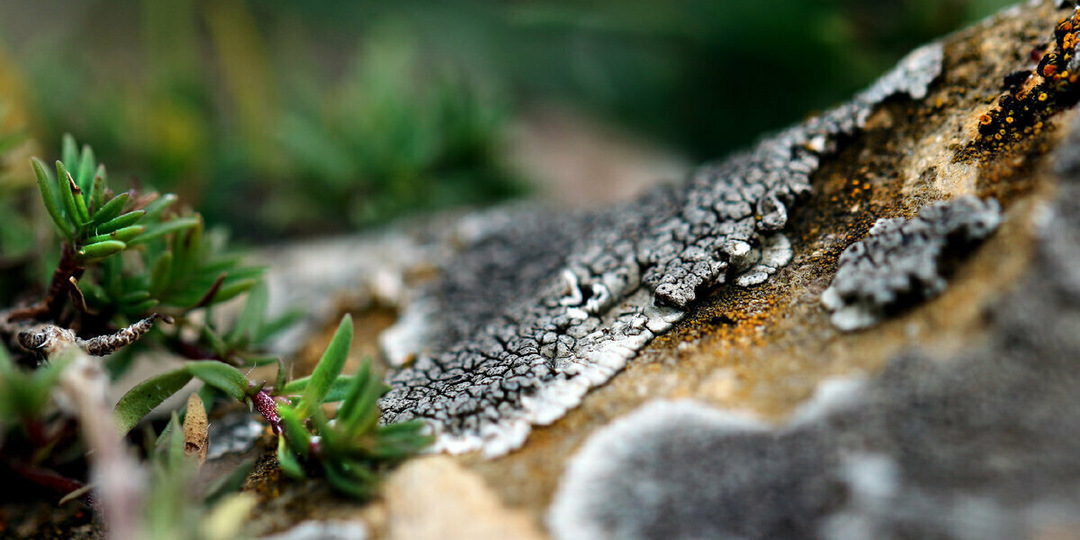 Горный Крым'19 | Часть 4 заключительная