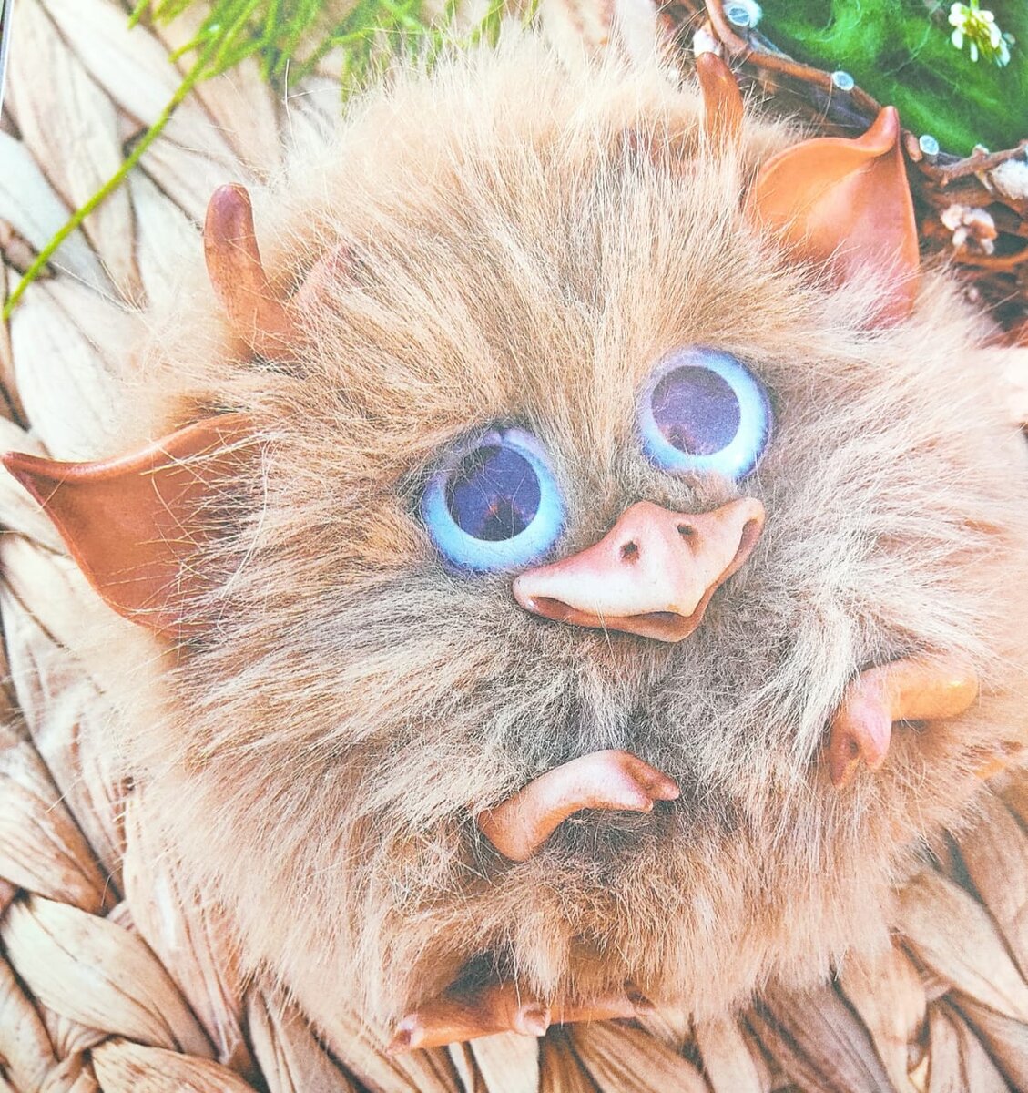 Фото из книги: Шарозверь