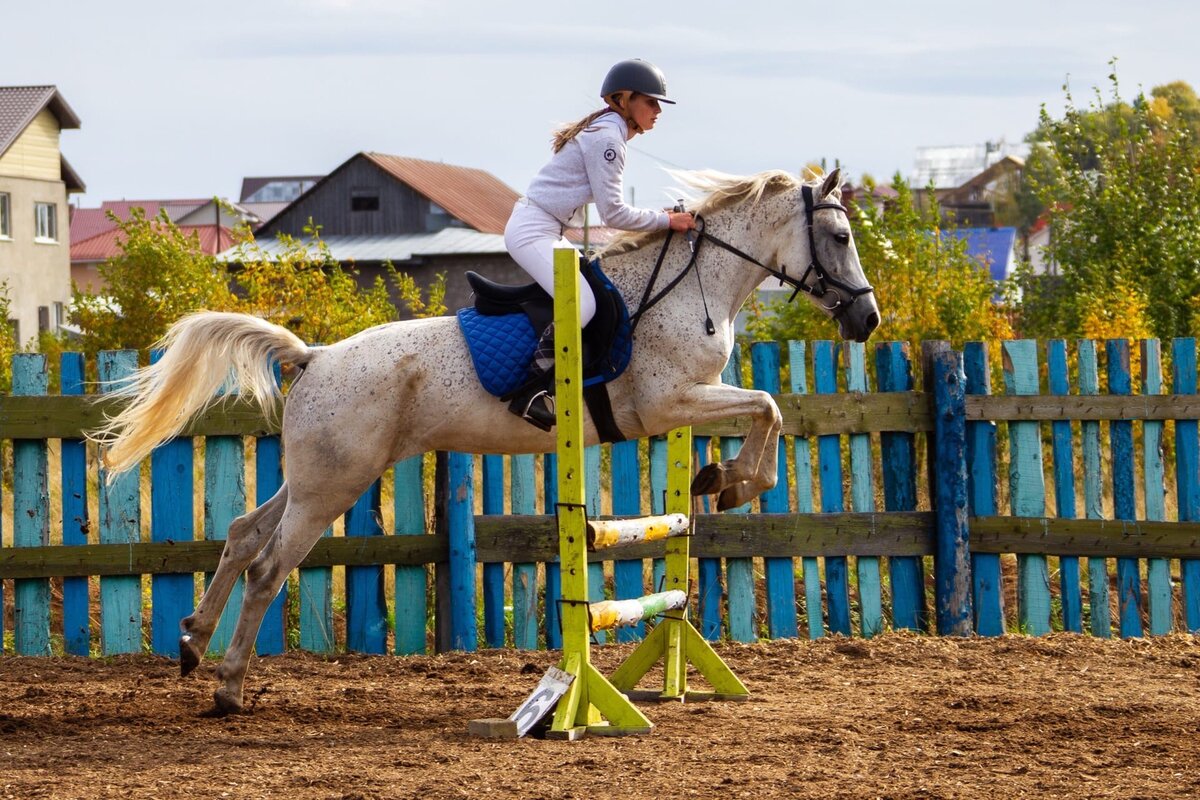 Рекорд в конкуре