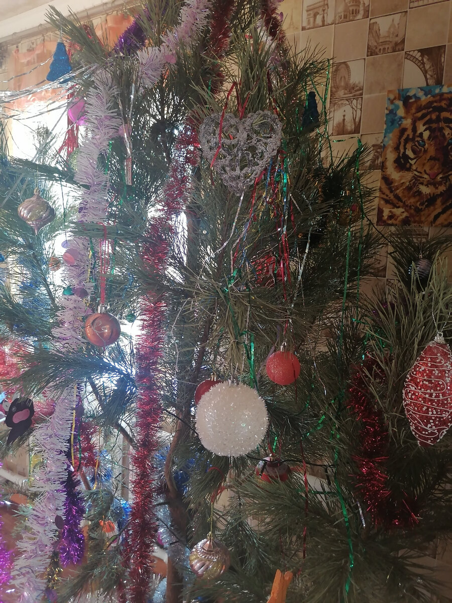 Наша ёлочка. 