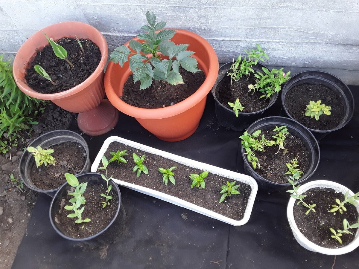 Моя первая контейнерная посадка, в которой выжили не все