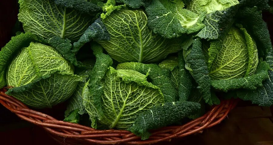 Квашеная капуста считается одним из самых популярных продуктов из заготовок. Фото: Pxfuel