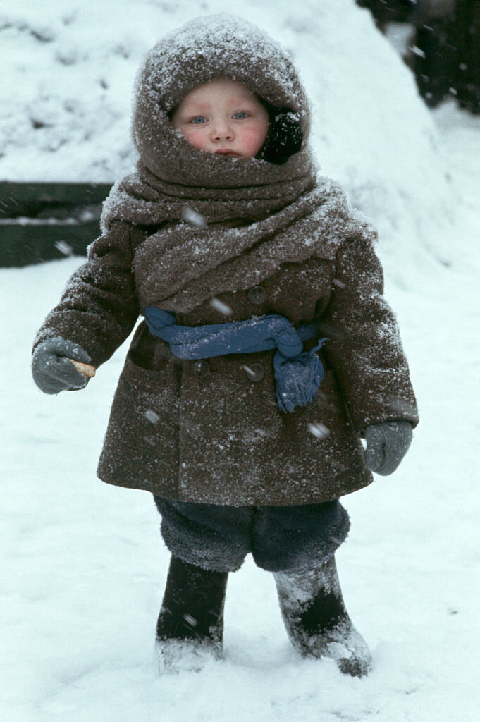 Яндекс картинки. Для свободного использования