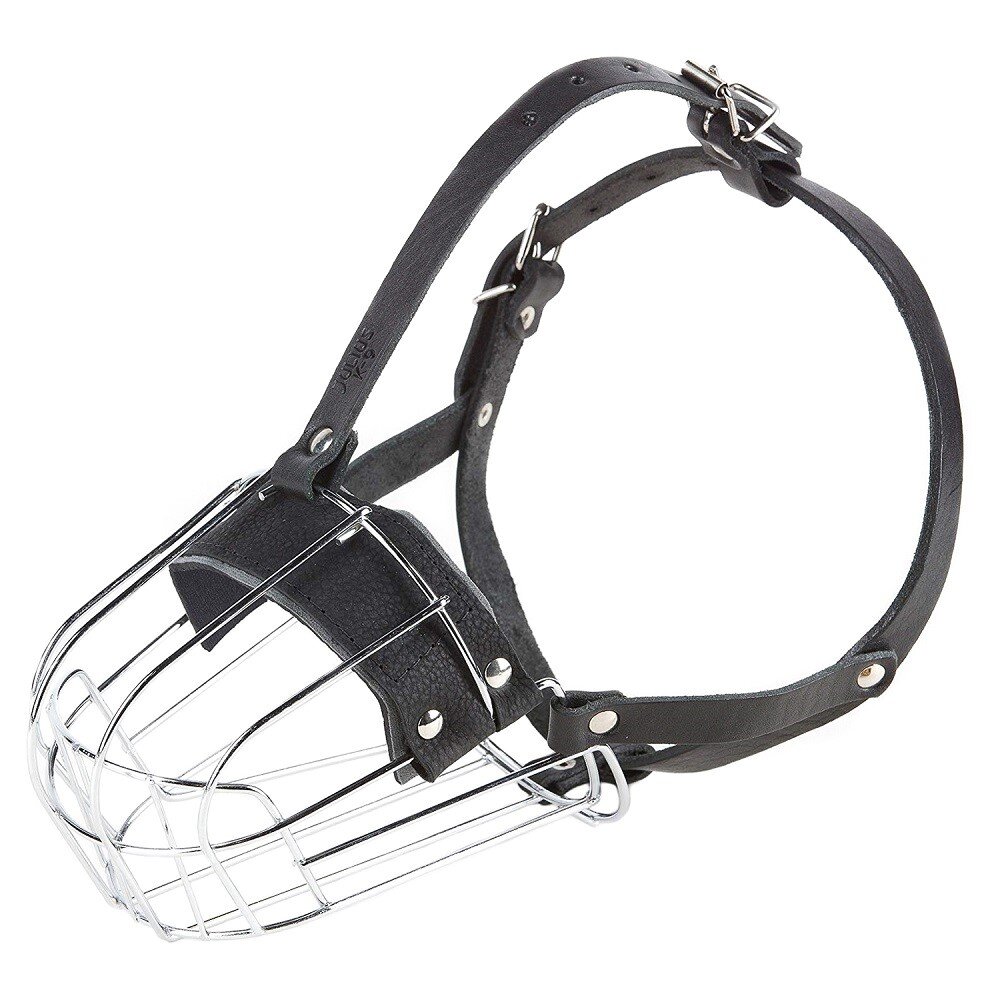 металлический намордник, фото взято из яндекса из свободного доступа без нарушения авторских прав.