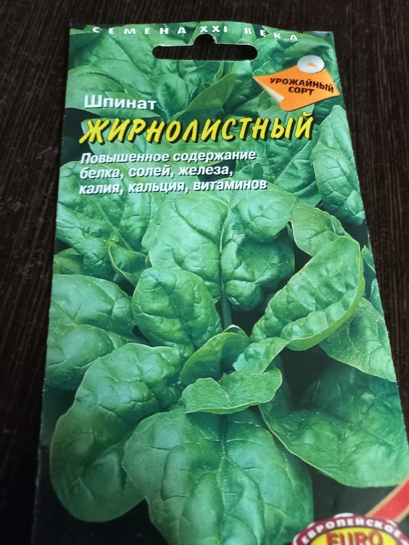 Почему стоит посадить шпинат на участке0