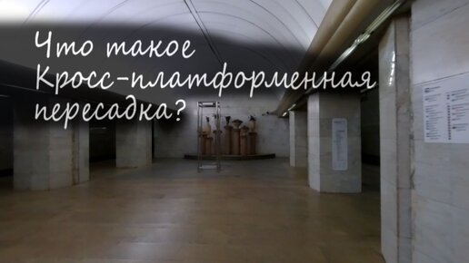 Что такое кросс-платформенная пересадка в метро? Обзор станции метро Петровско-Разумовская