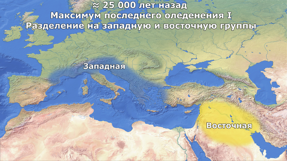 Генетическое происхождение