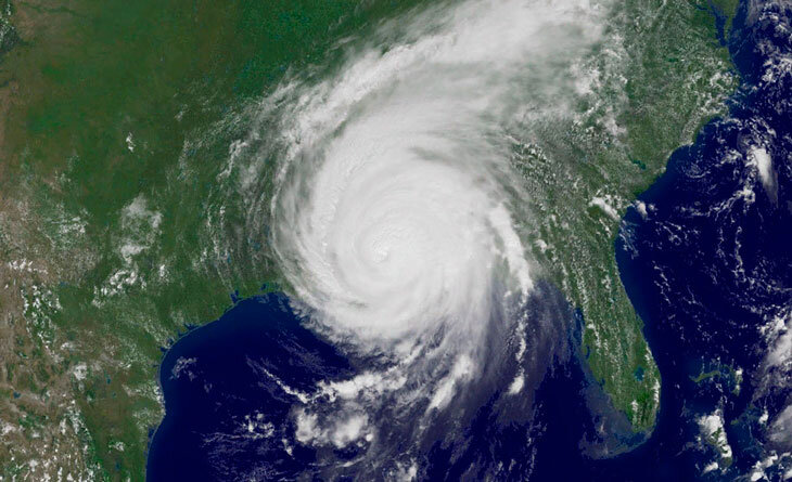 Фото взято из открытых источников