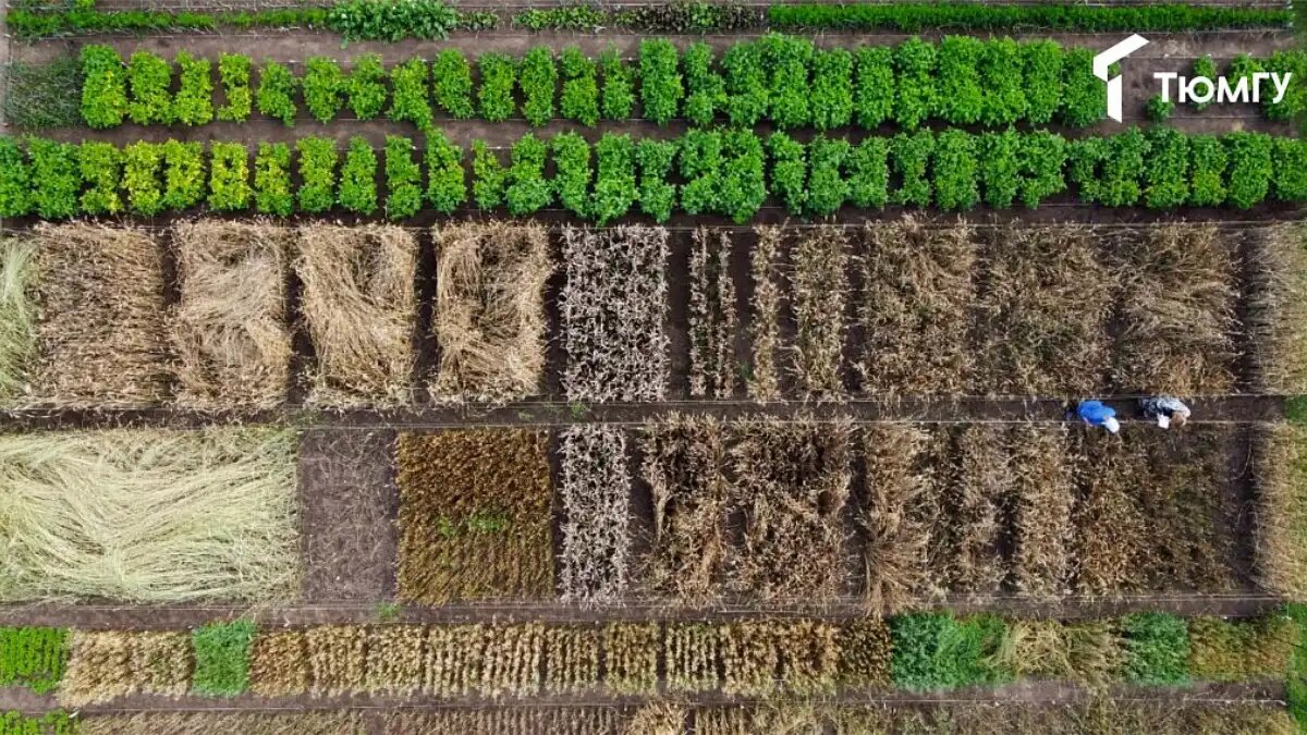 Фото:news.utmn.ru