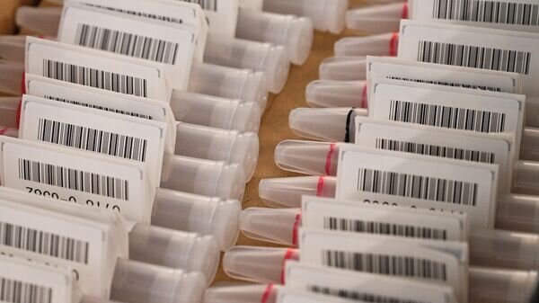   © Sputnik / Рамиль Ситдиков