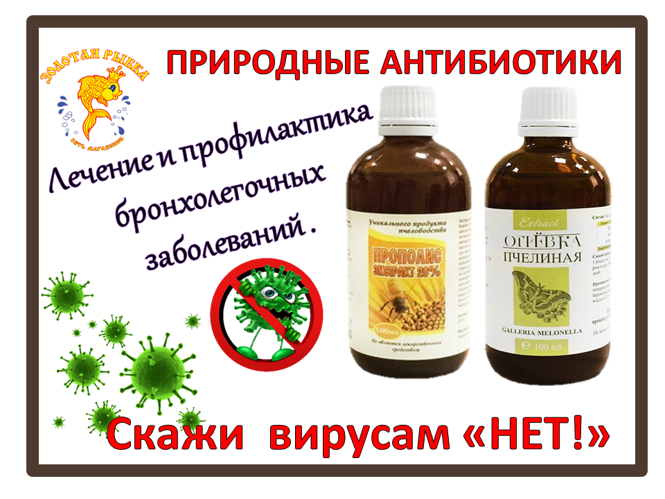 природные антибиотики. самый сильный природный антибиотик. продукты природные антибиотики.