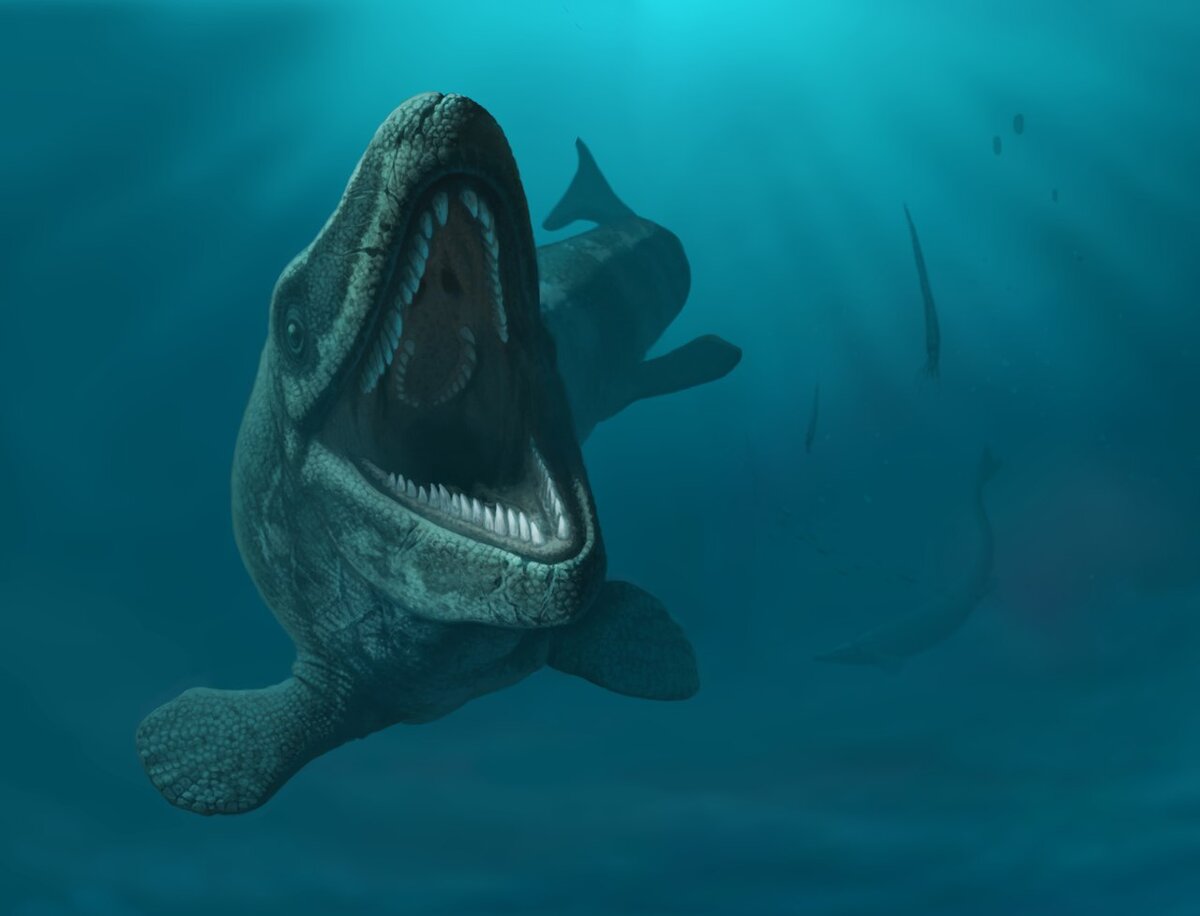 Печеная картошка?