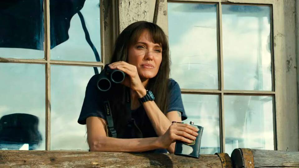 Джоли караулит лес на вышке