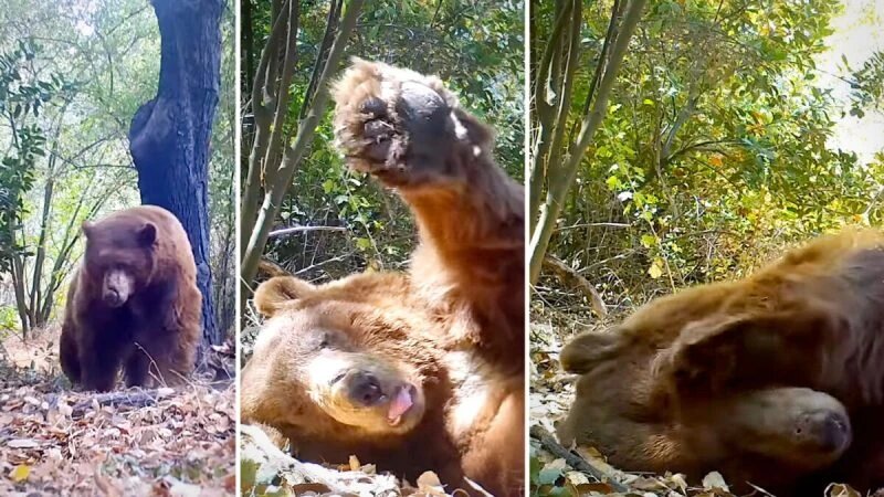 Фото любезно предоставлено Робертом Мартинесом