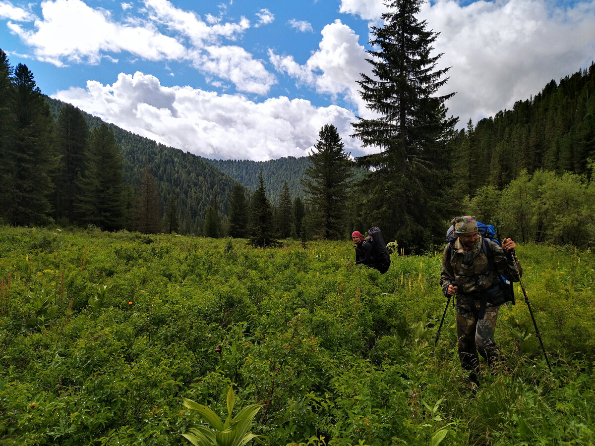 Спускаемся в долину реки. Чем ниже высота, тем больше растительности.