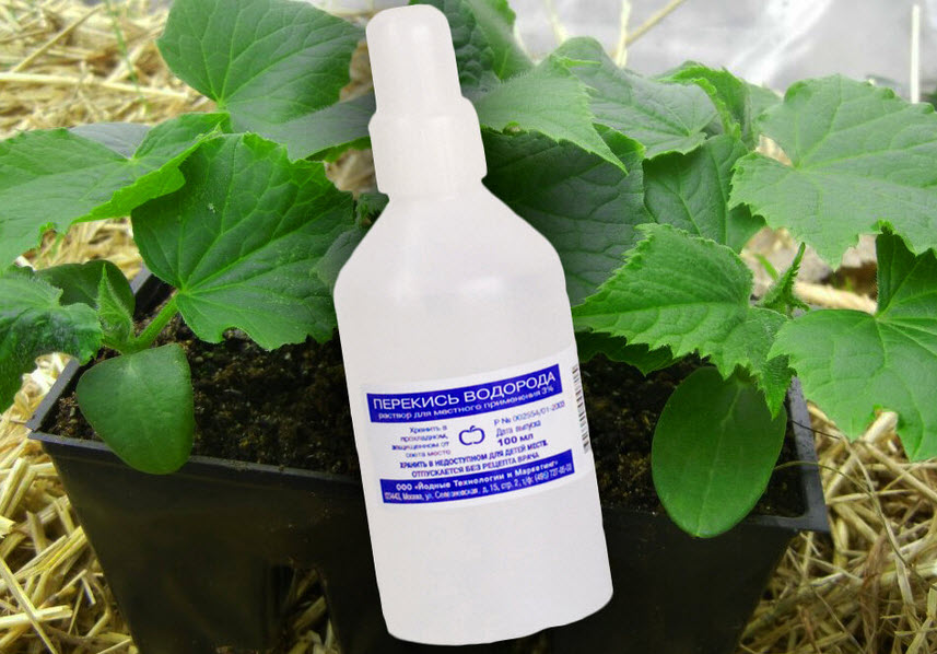 ¿Necesita limpiar o desinfectar algo en su hogar de manera rápida y efectiva? Normalmente utilizamos muchos detergentes especiales que se pueden sustituir con una sola botella de peróxido de hidrógeno.-4