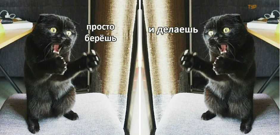 

Мы разделили стайлгайд на три основных части. Или на три документа: