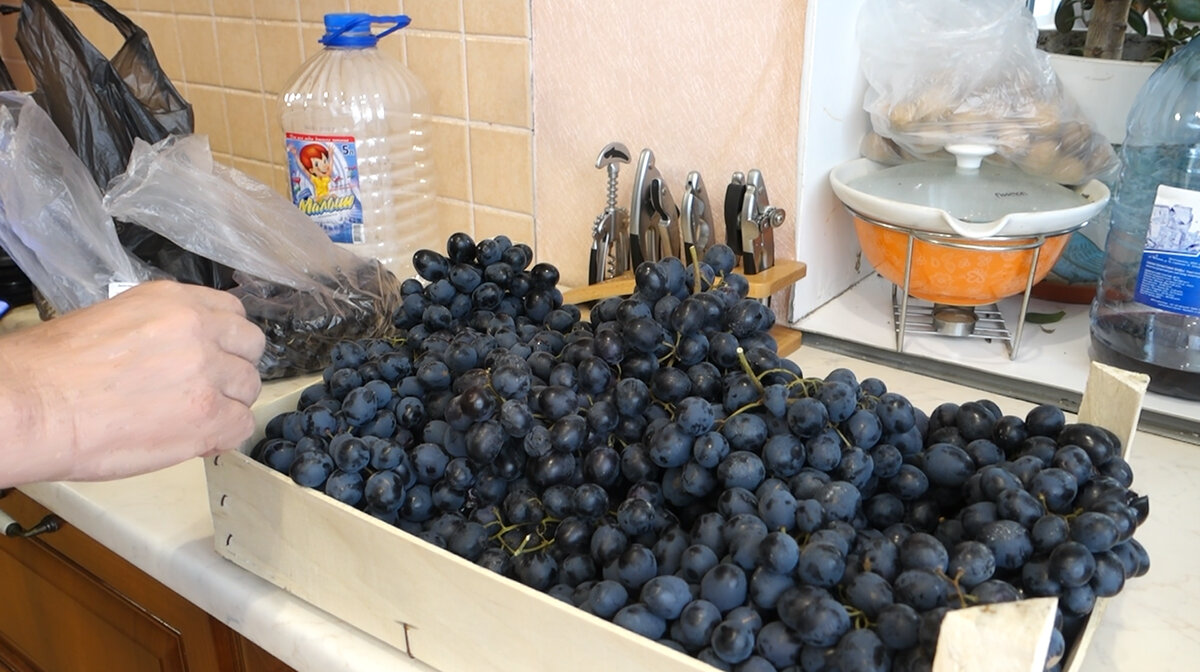 Как приготовить виноградное вино в домашних условиях: простой рецепт из темного винограда