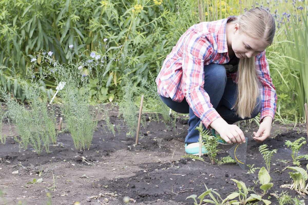 Семена более 30 видов редких растений, подготовленных для отправки в космос на борту аппарата "Бион-М2"