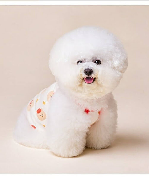 Из инстаграмм аккаунта bbo.bbo.2016