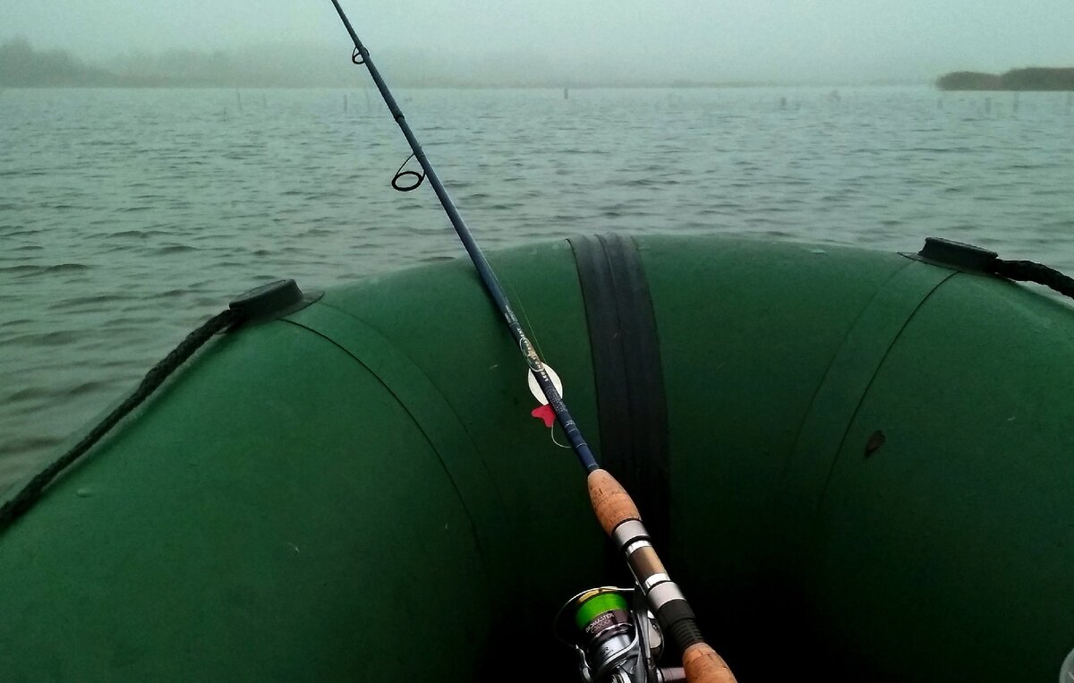 Коряжник прямо по курсу