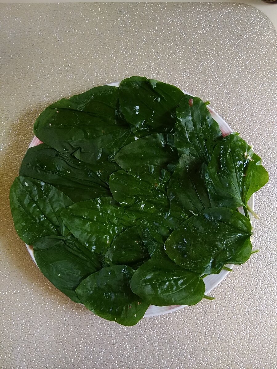 Тарелка с подложкой из листьев подорожника. Я их ем, как листья салата.